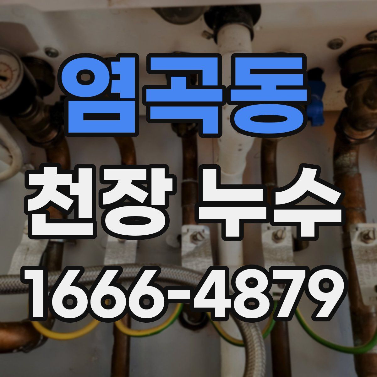 염곡동 천장 누수