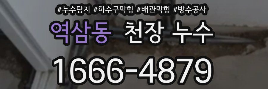 역삼동 천장 누수