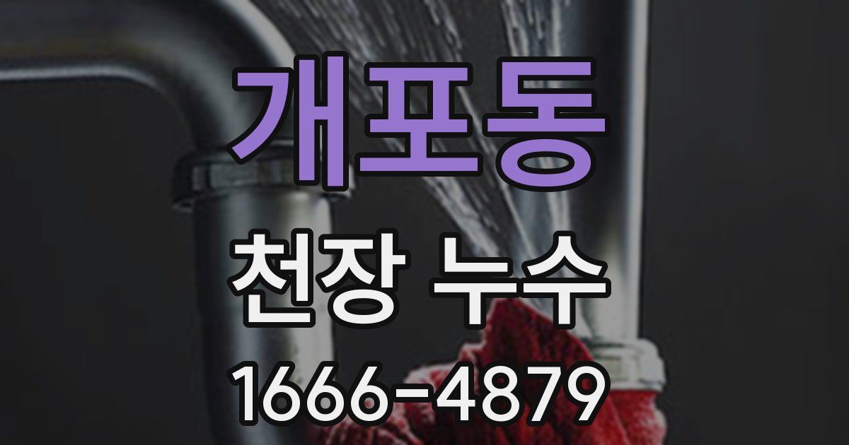 개포동 천장 누수