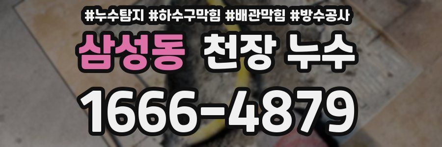 삼성동 천장 누수
