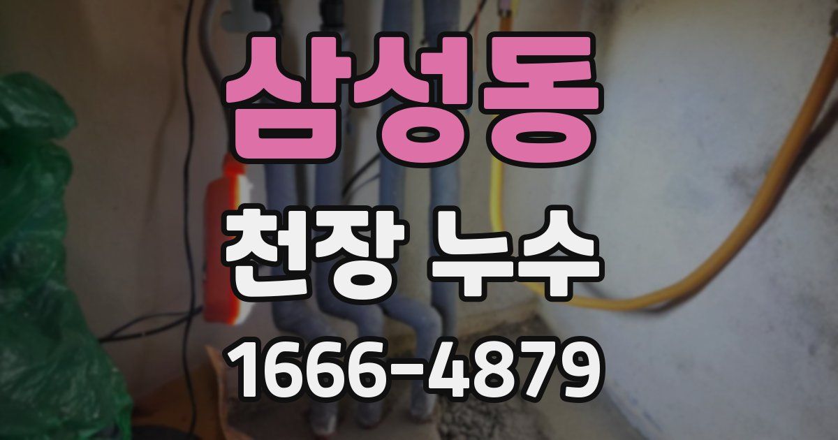 삼성동 천장 누수