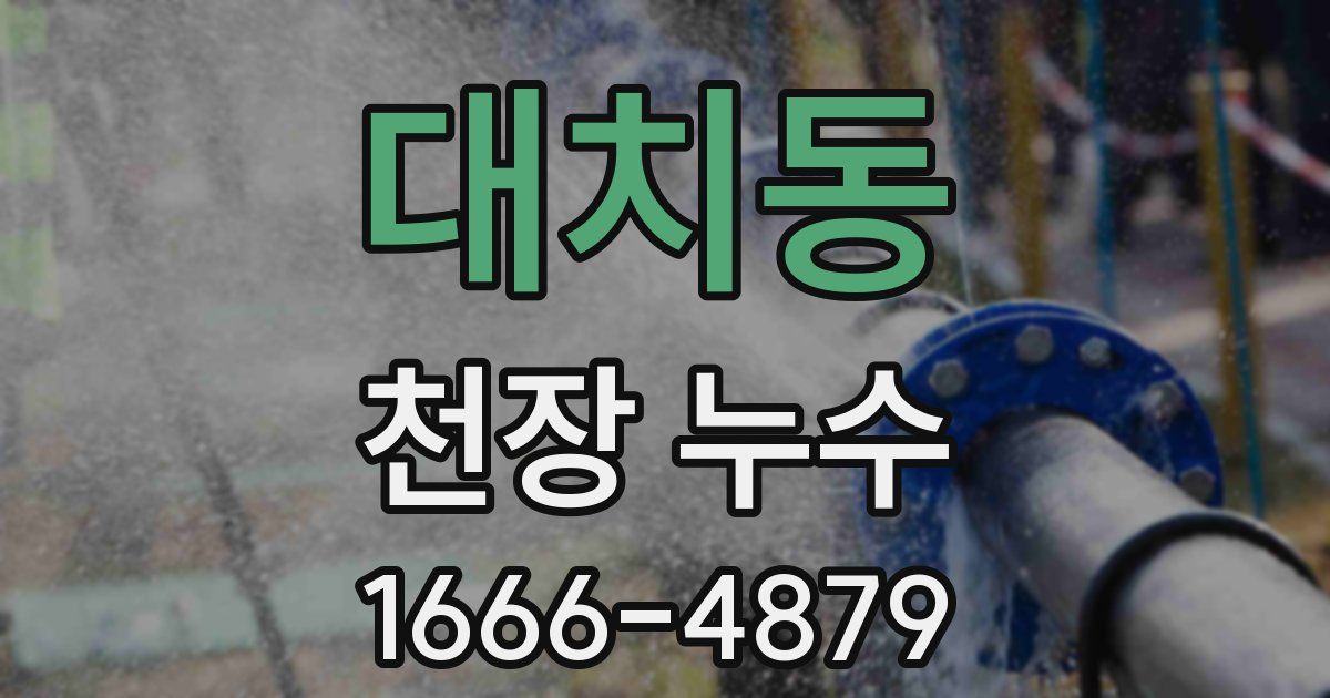 대치동 천장 누수