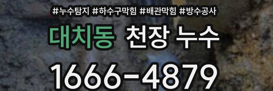 대치동 천장 누수