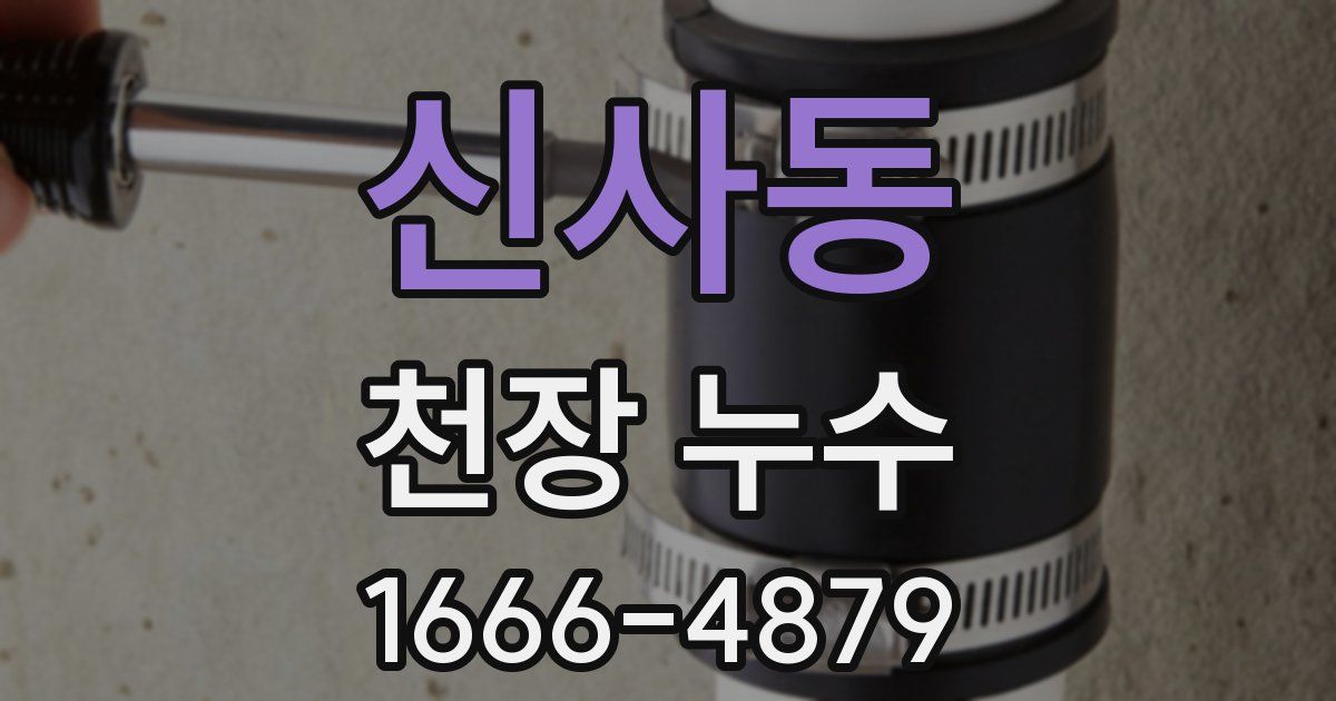 신사동 천장 누수
