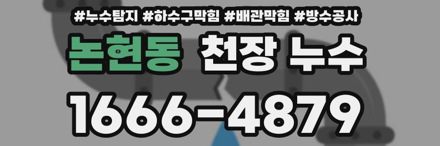논현동 천장 누수