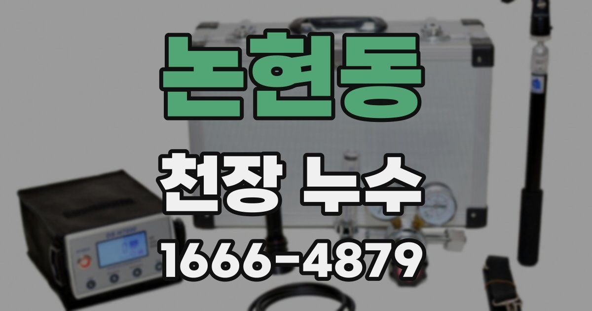 논현동 천장 누수
