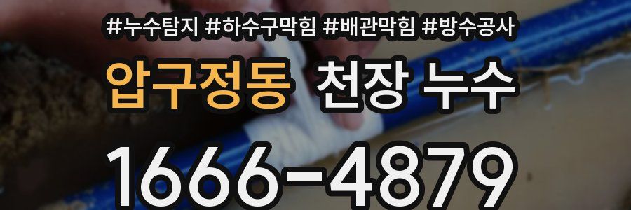 압구정동 천장 누수