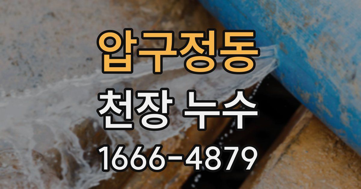 압구정동 천장 누수