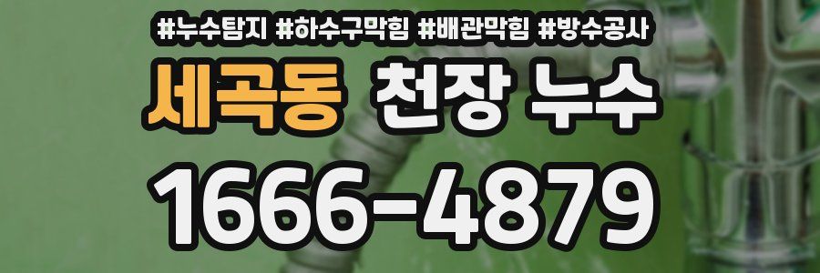 세곡동 천장 누수