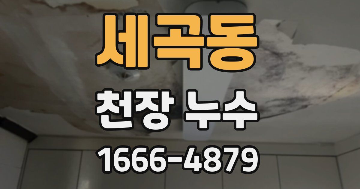 세곡동 천장 누수