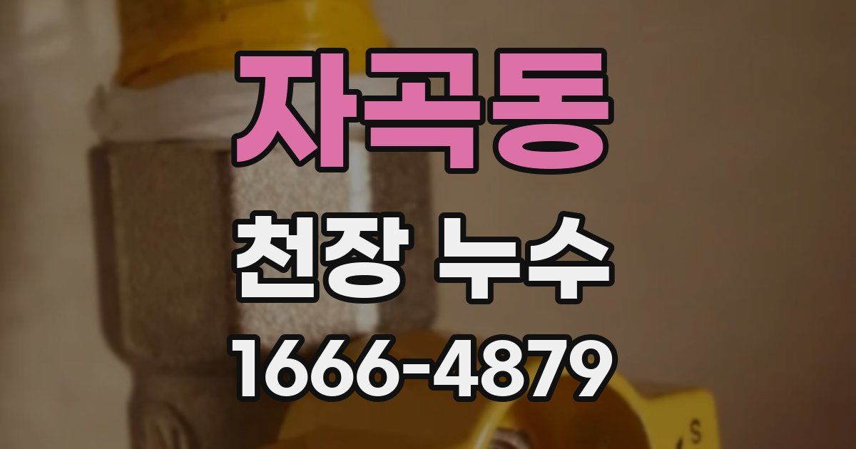 자곡동 천장 누수