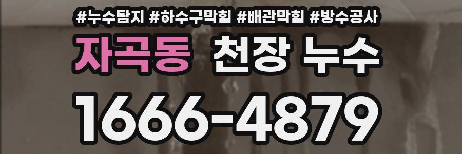 자곡동 천장 누수
