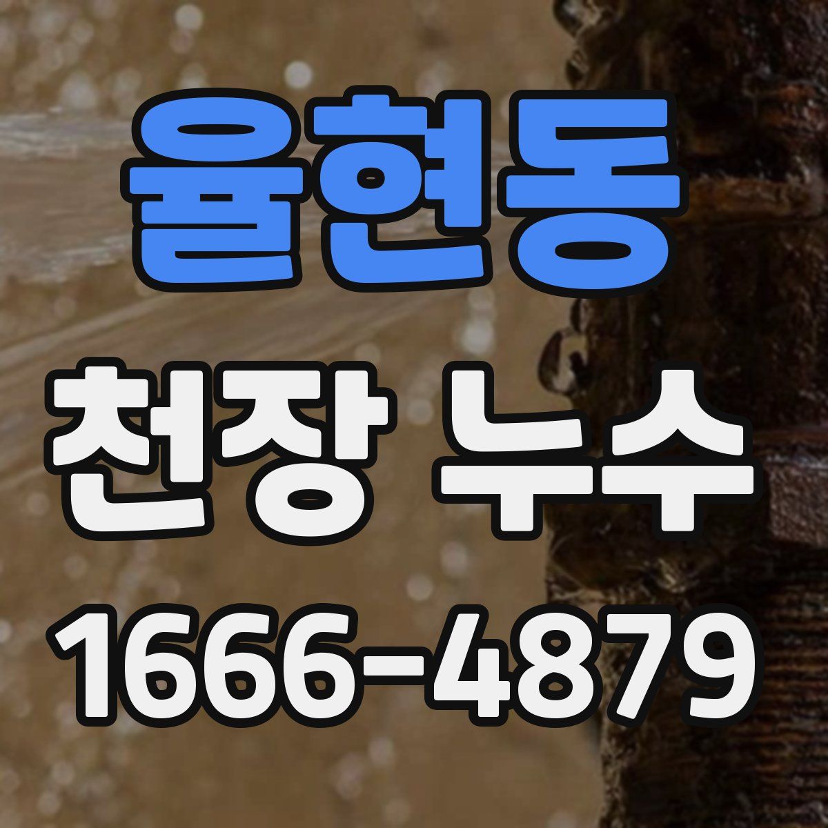 율현동 천장 누수