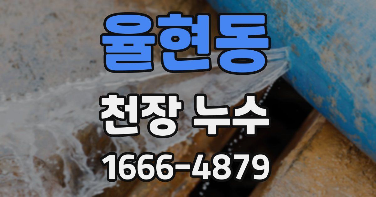 율현동 천장 누수