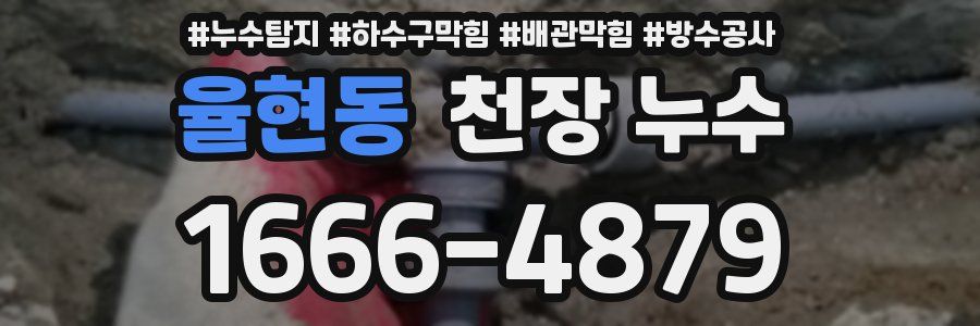 율현동 천장 누수