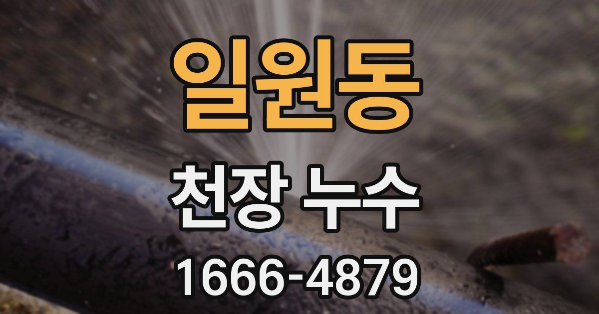 일원동 천장 누수