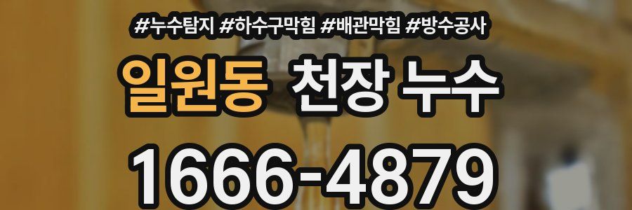 일원동 천장 누수