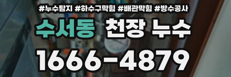 수서동 천장 누수
