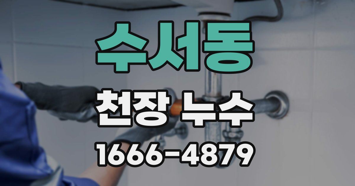 수서동 천장 누수