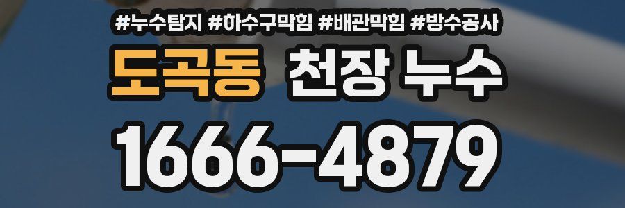 도곡동 천장 누수