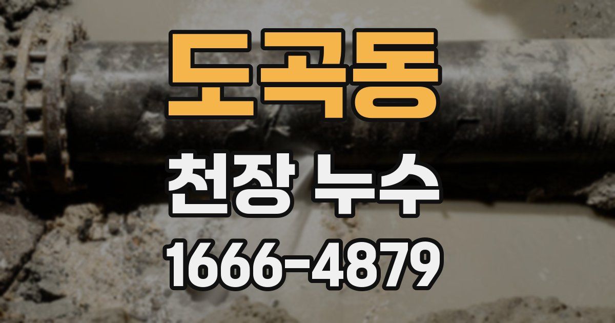 도곡동 천장 누수