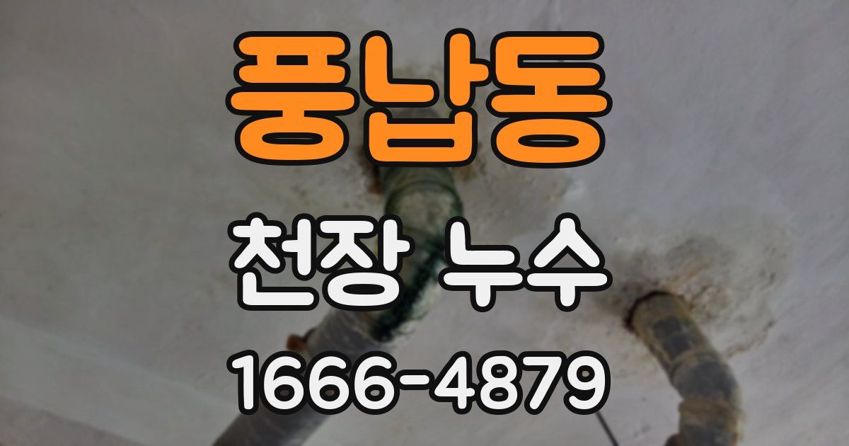 풍납동 천장 누수