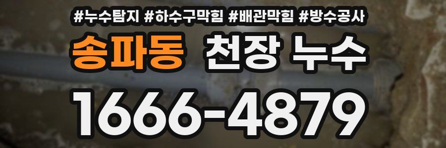 송파동 천장 누수