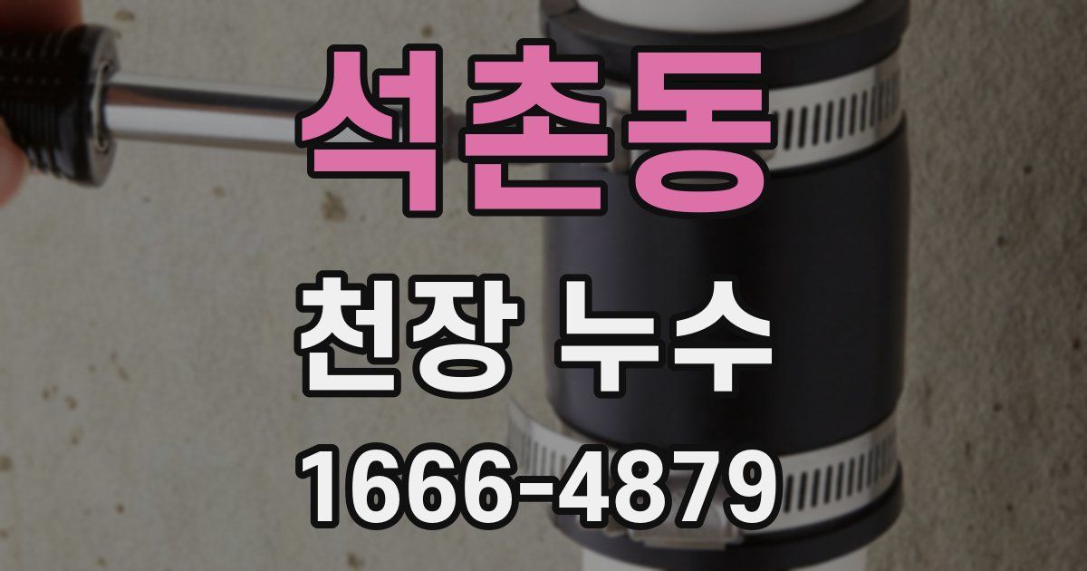 석촌동 천장 누수