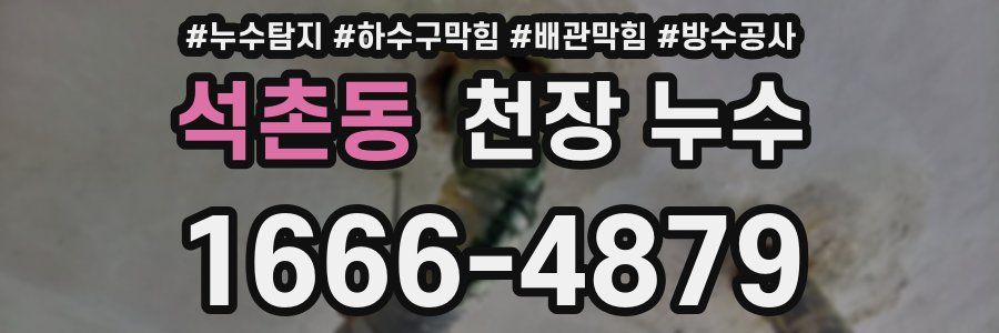 석촌동 천장 누수