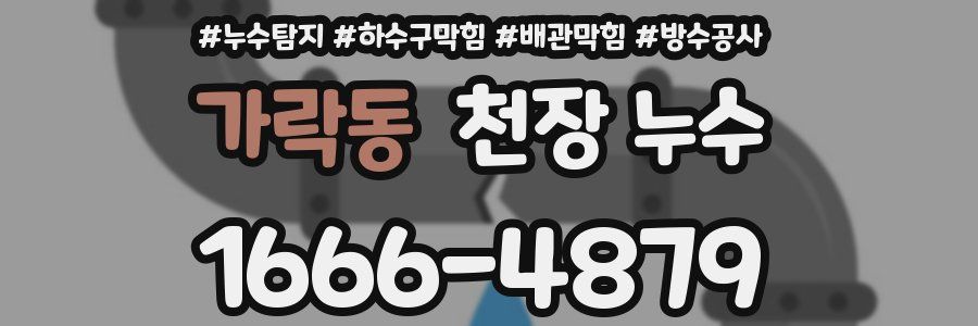 가락동 천장 누수