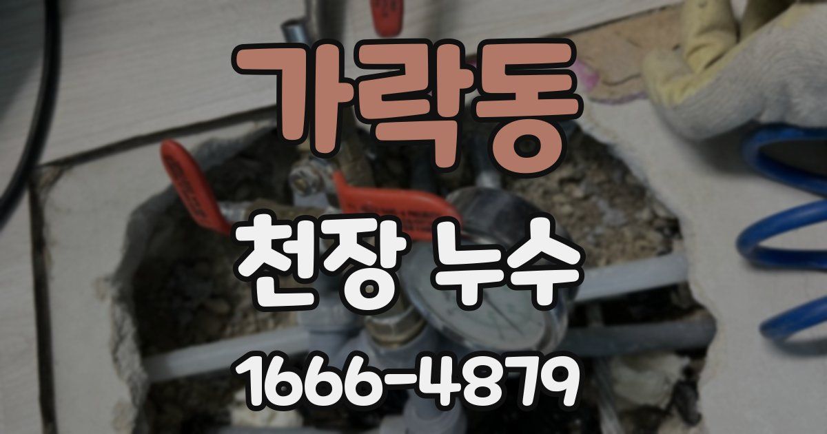가락동 천장 누수