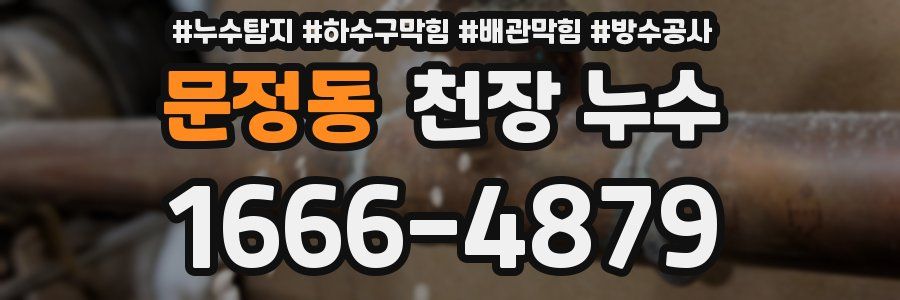 문정동 천장 누수