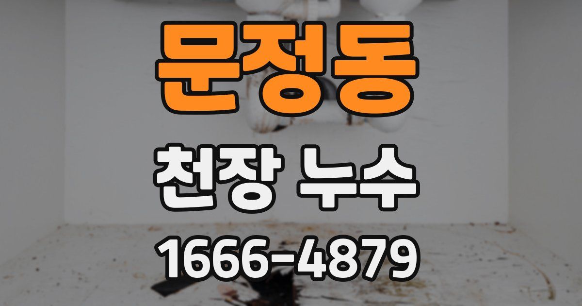 문정동 천장 누수