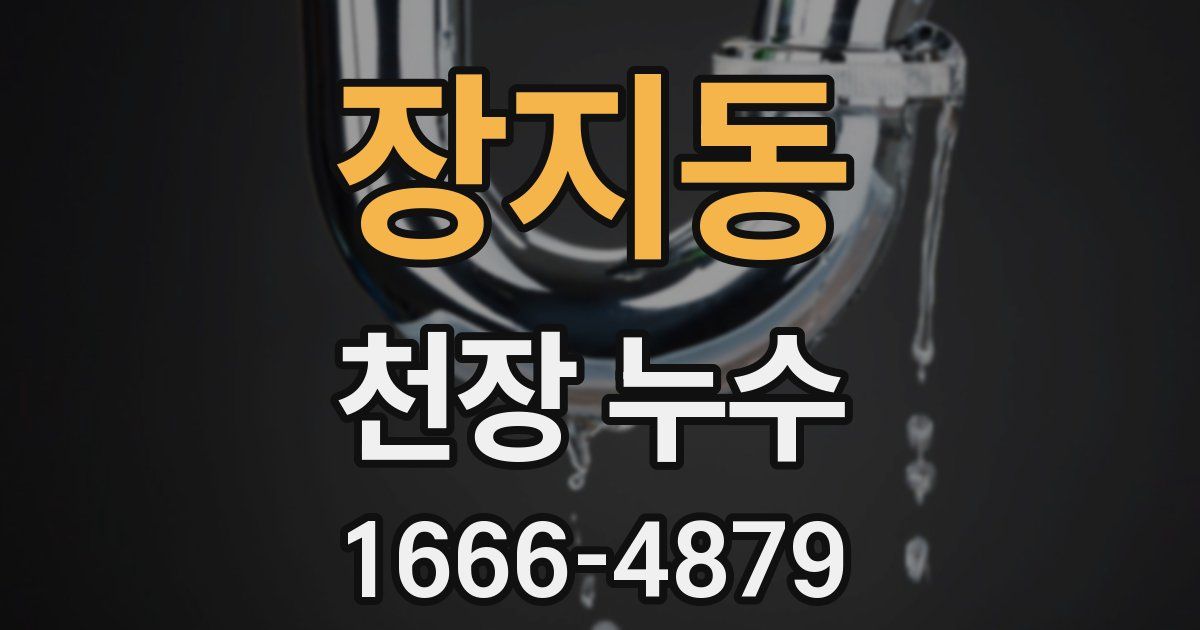 장지동 천장 누수