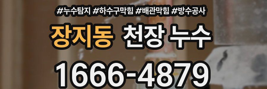 장지동 천장 누수