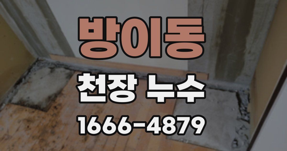 방이동 천장 누수