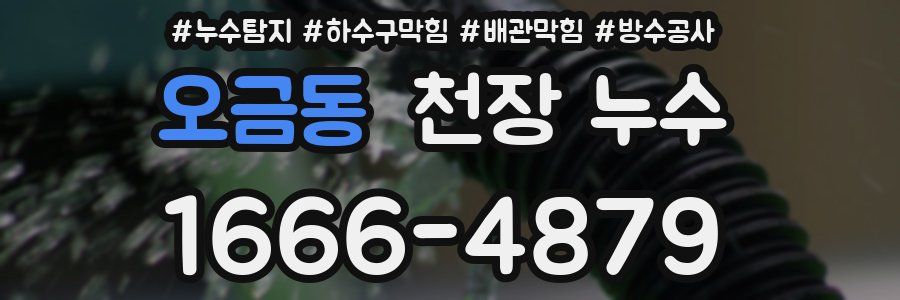 오금동 천장 누수