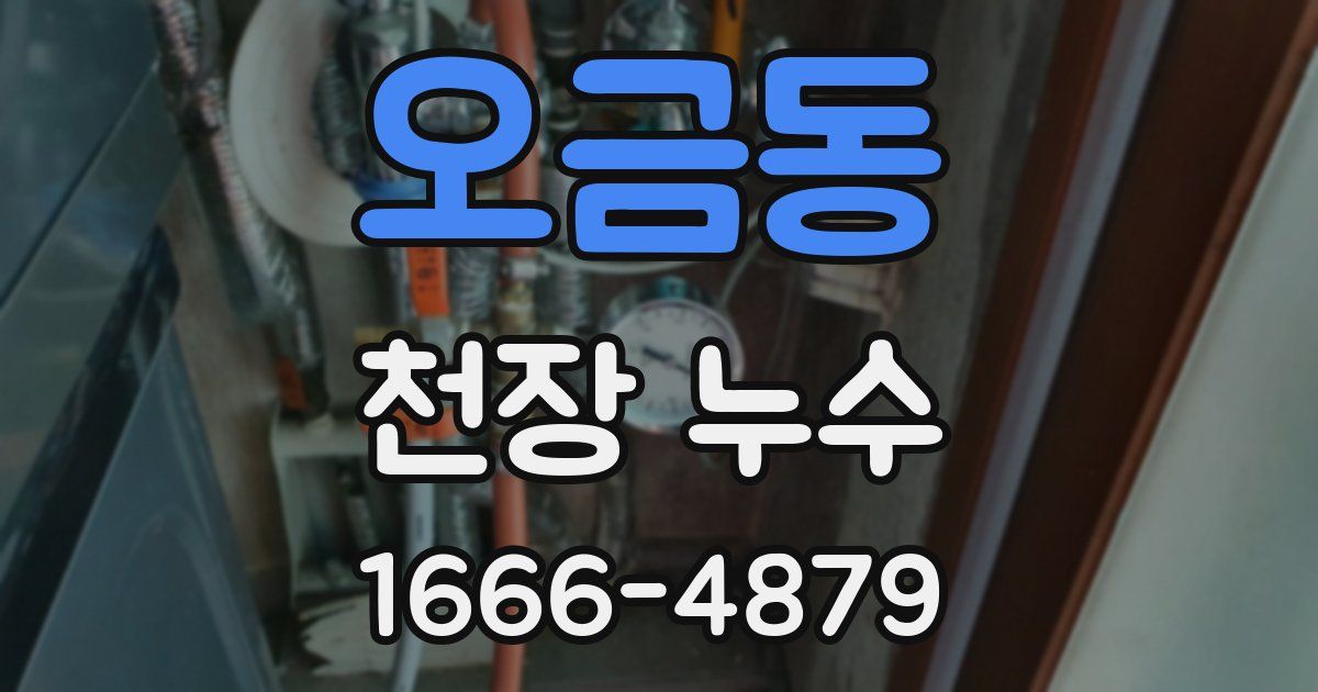 오금동 천장 누수