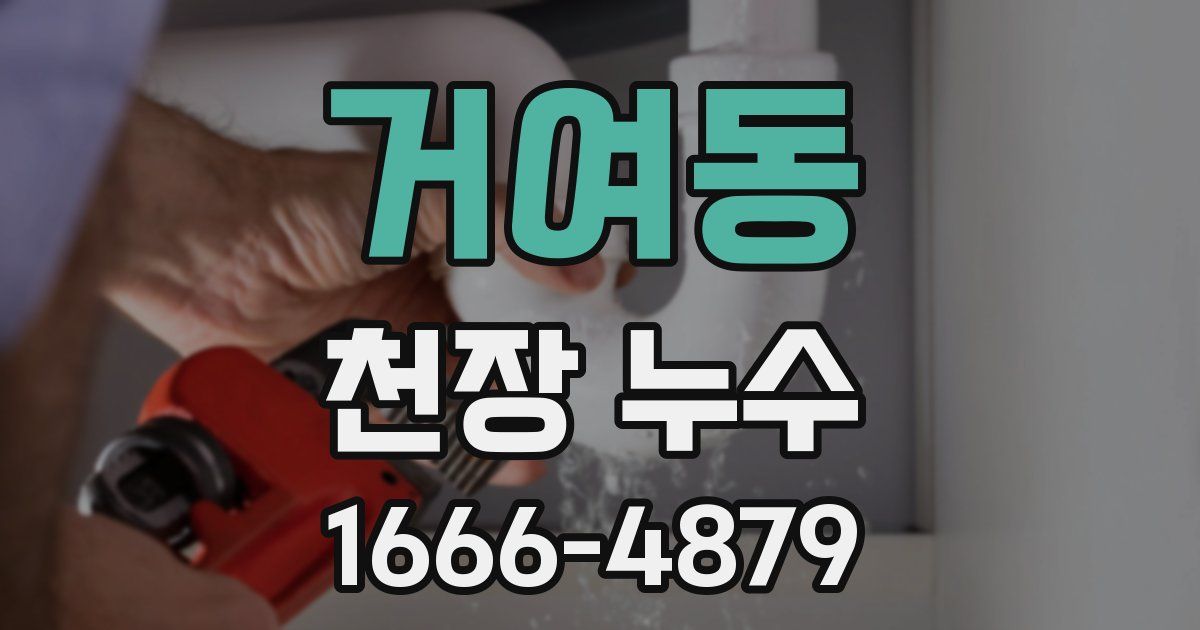거여동 천장 누수