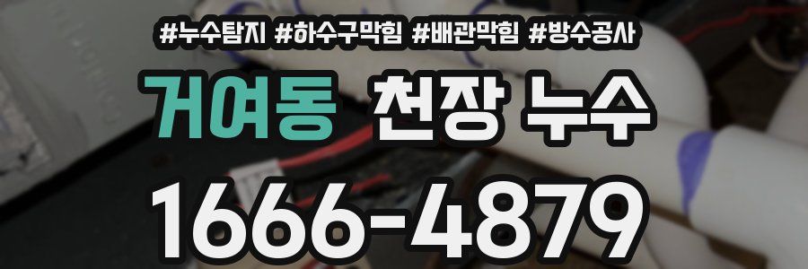 거여동 천장 누수