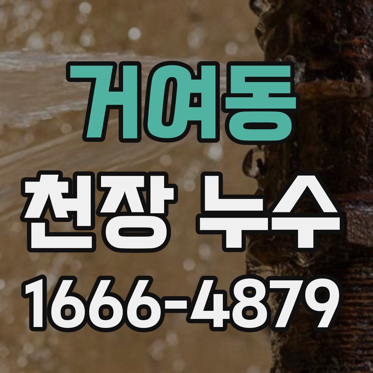 거여동 천장 누수