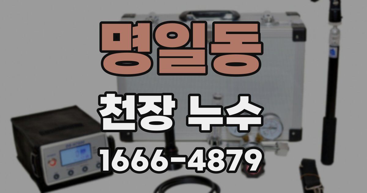 명일동 천장 누수
