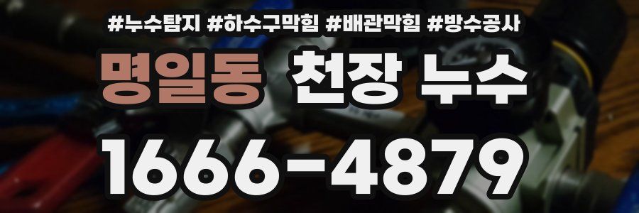 명일동 천장 누수