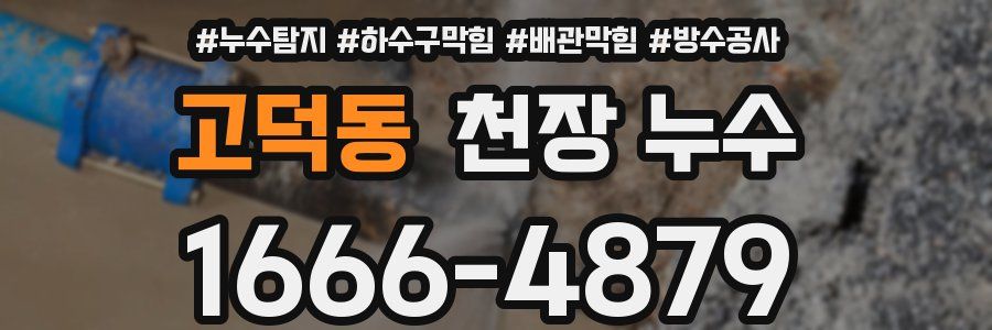 고덕동 천장 누수