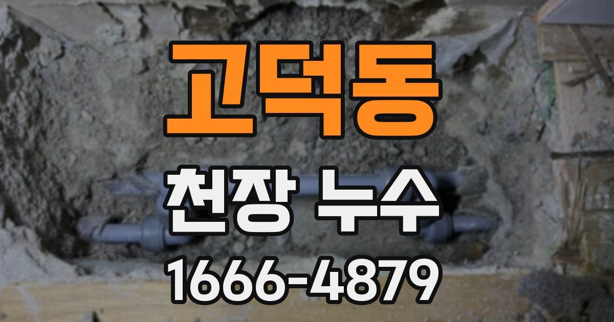 고덕동 천장 누수