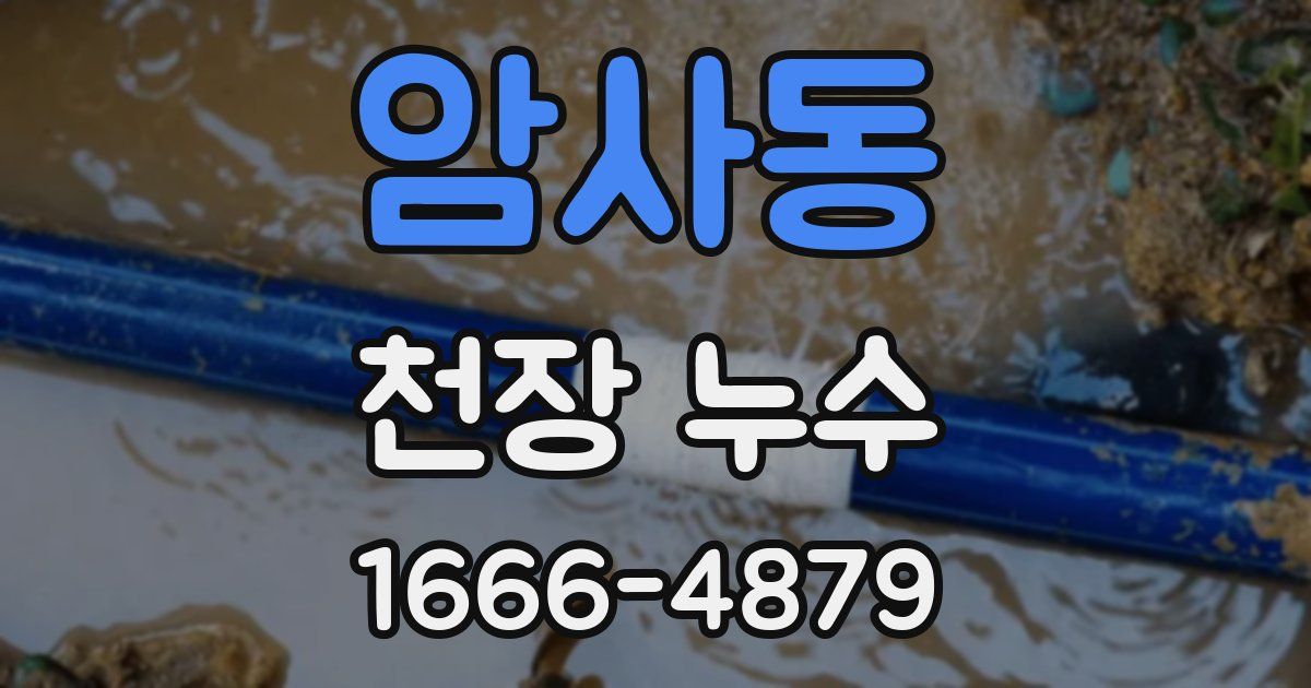 암사동 천장 누수