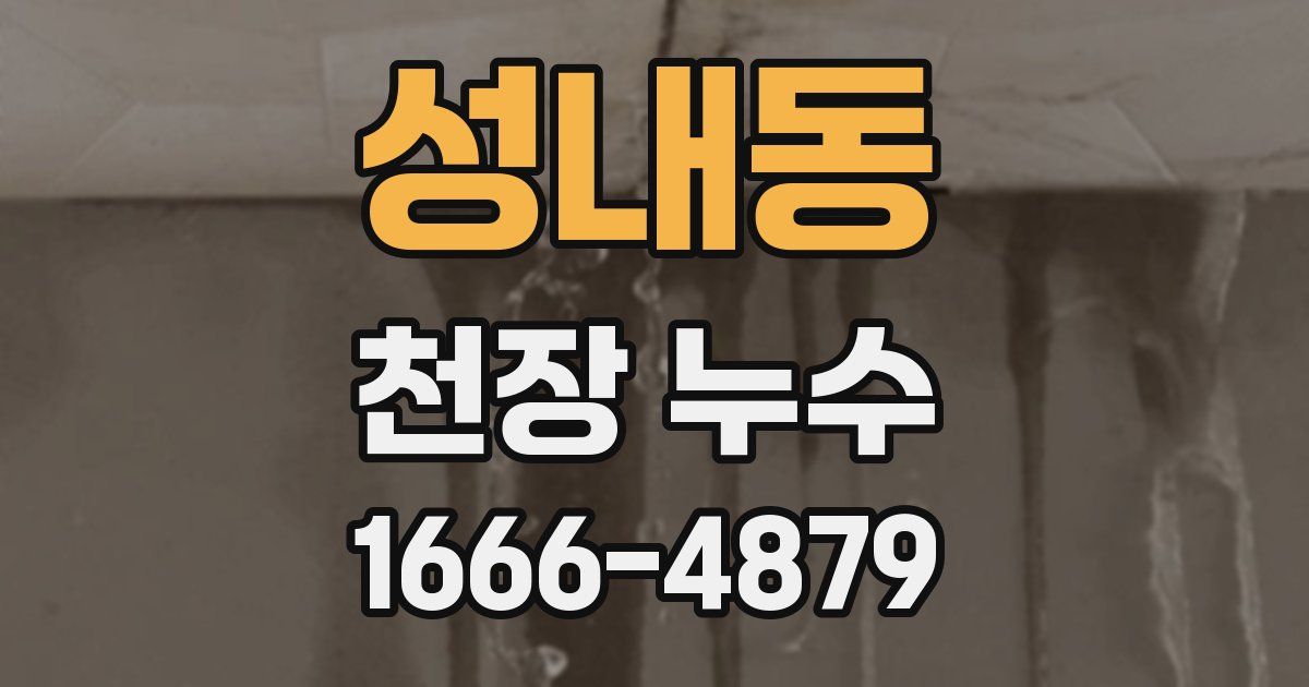 성내동 천장 누수
