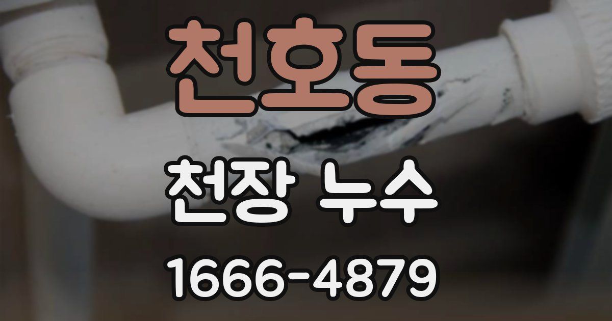 천호동 천장 누수