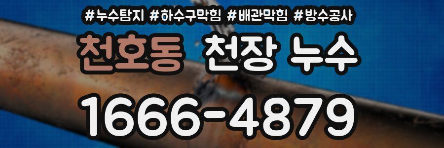 천호동 천장 누수