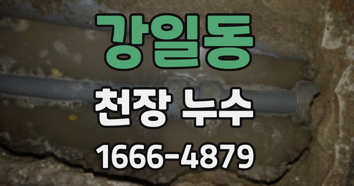 강일동 천장 누수
